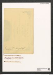 Diatomeae indet. Zeichnungen Sammlung Grunow (NHMW-BOT-W0375383)